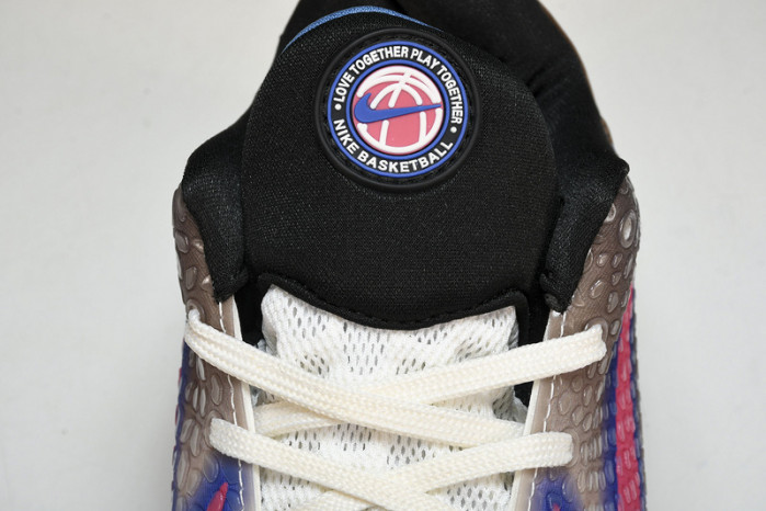 NIKE Kobe VI Protro 6 CW2190 700