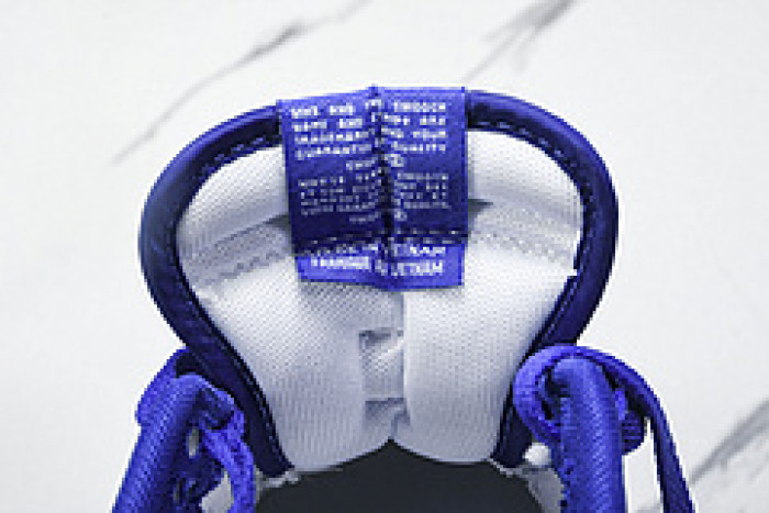 Nk Dunk Low "Polar Blue"  DV0833 103