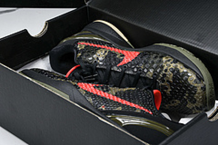 Nike Kobe 6 Protro “Italian Camo”  FQ3546-001