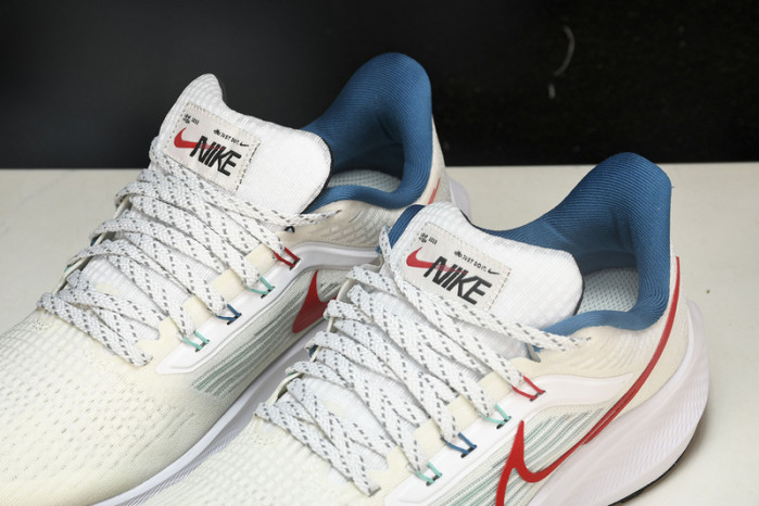 Nk Air Zoom Pegasus 39 FD4322-161