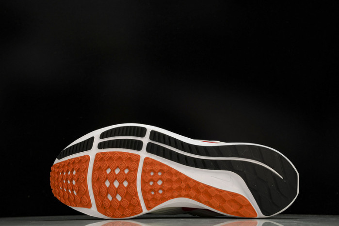 Nk Air Zoom Pegasus 39 FD4322-161