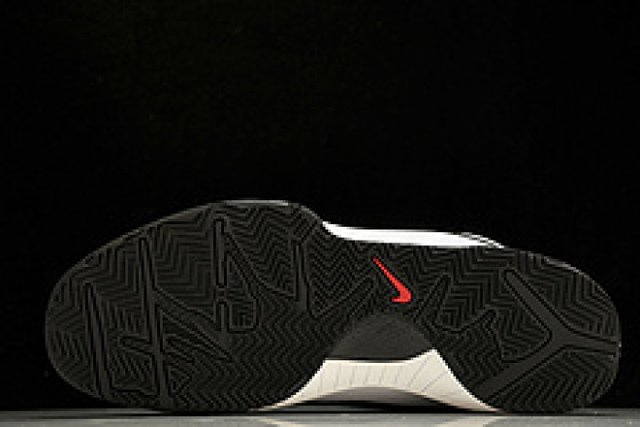 NK Zoom Kobe 4“Mambacita”Gigi   FJ9363-100