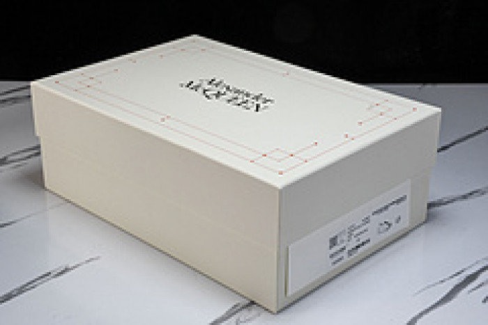 Alexander McQueen sneaker