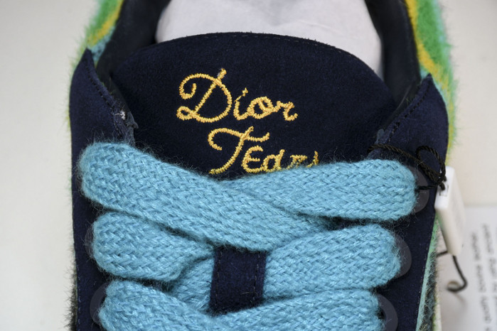 DI*O*R B33 PANKICK
