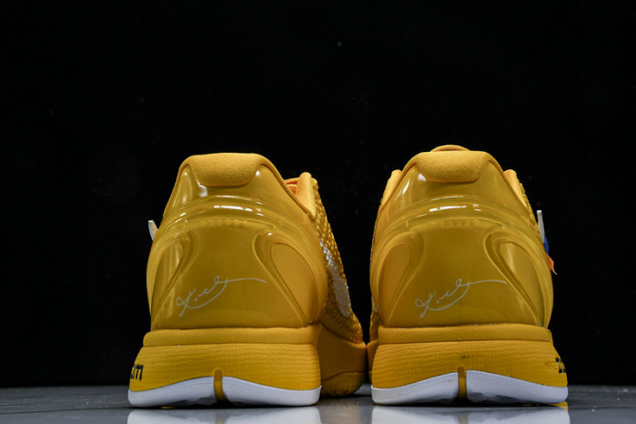 Nike Kobe 6 Protro  CW2190-501