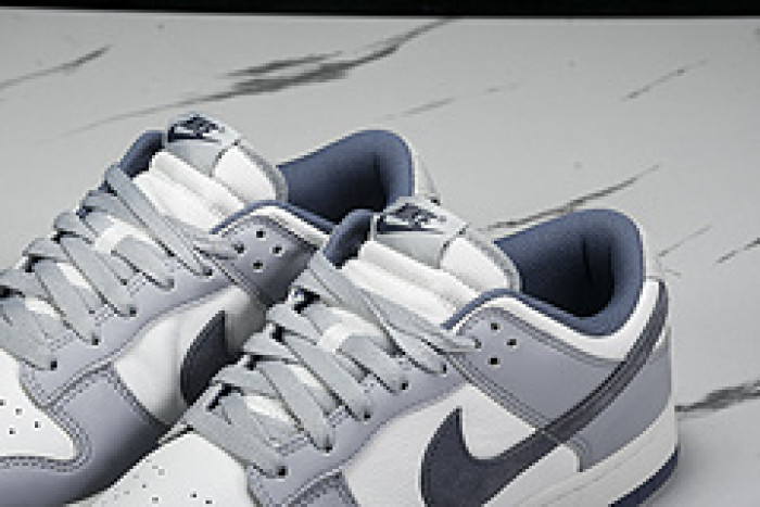 Nk Dunk Low "Light Carbon" FJ4188-100