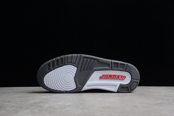 Jordan 3 Retro Cool Grey (2021) - CT8532-012