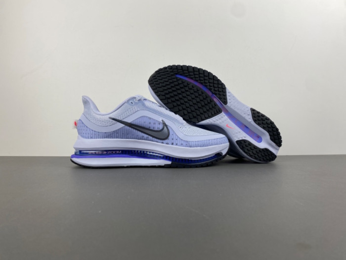 Nike Pegasus Premium 